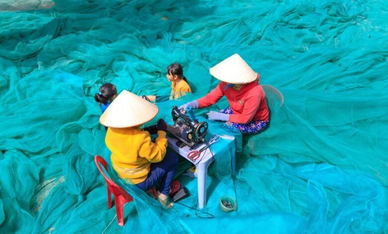 dino guilmette s wealth overview