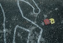 fraudulent number detection hotline