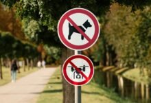 hotline directory access numbers