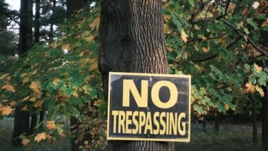 network privacy data protection