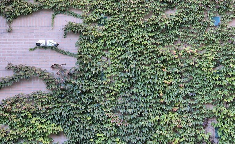 telecom security contact numbers