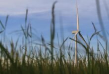 smart growth digital solutions