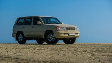 stable digital platform solutions